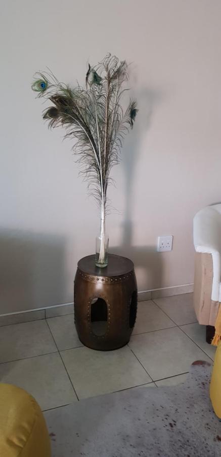 Feather Self Catering Accommodation Windhoek Eksteriør billede
