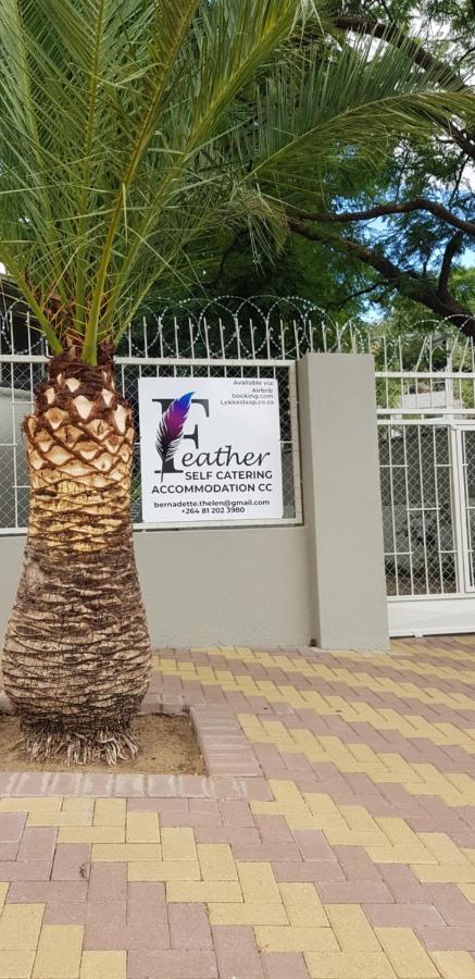 Feather Self Catering Accommodation Windhoek Eksteriør billede